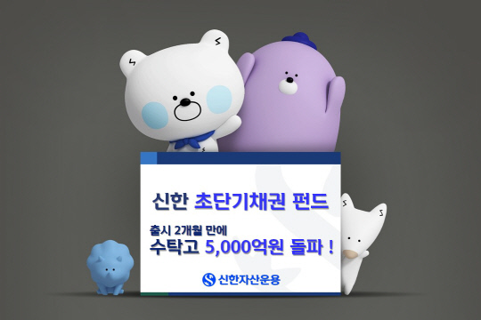 ѿ ʴܱäݵ Ź 2 5000 